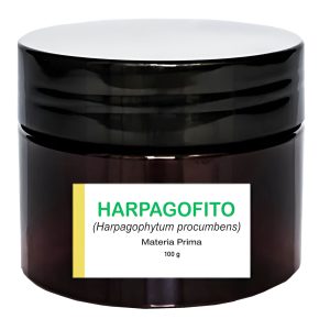 Harpagofito Hierba deshidratada - Polvo x 100gr - Materia Prima