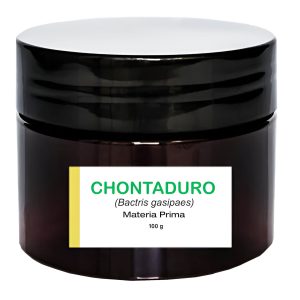 Chontaduro Fruta Deshidratada x 100 g Materia prima - Polvo