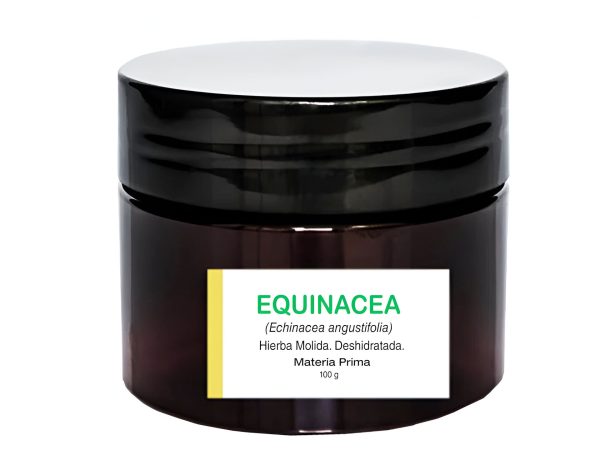 Equinácea-Hierba molida Deshidratada x 100 g Materia prima